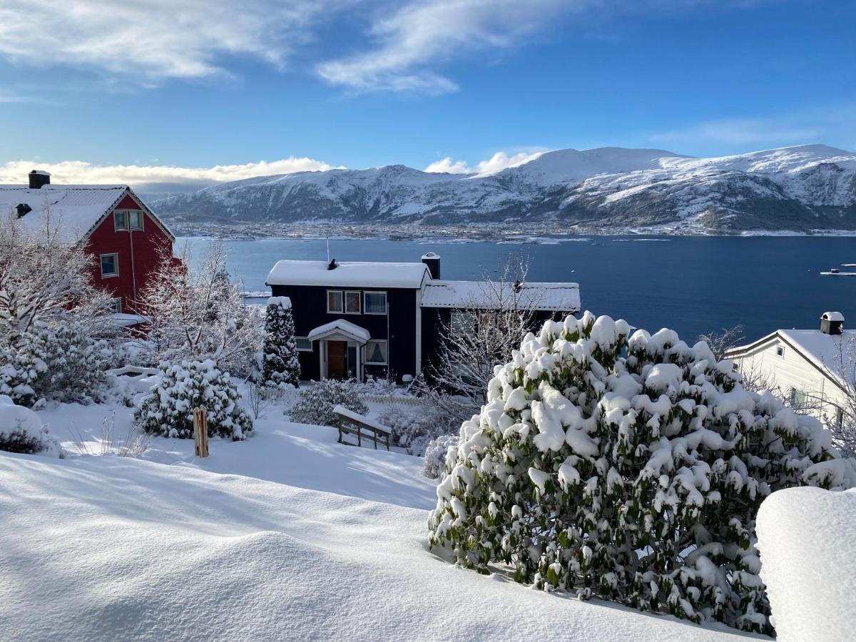 Great Place With View To The Mountains And Fjord 올레순 외부 사진